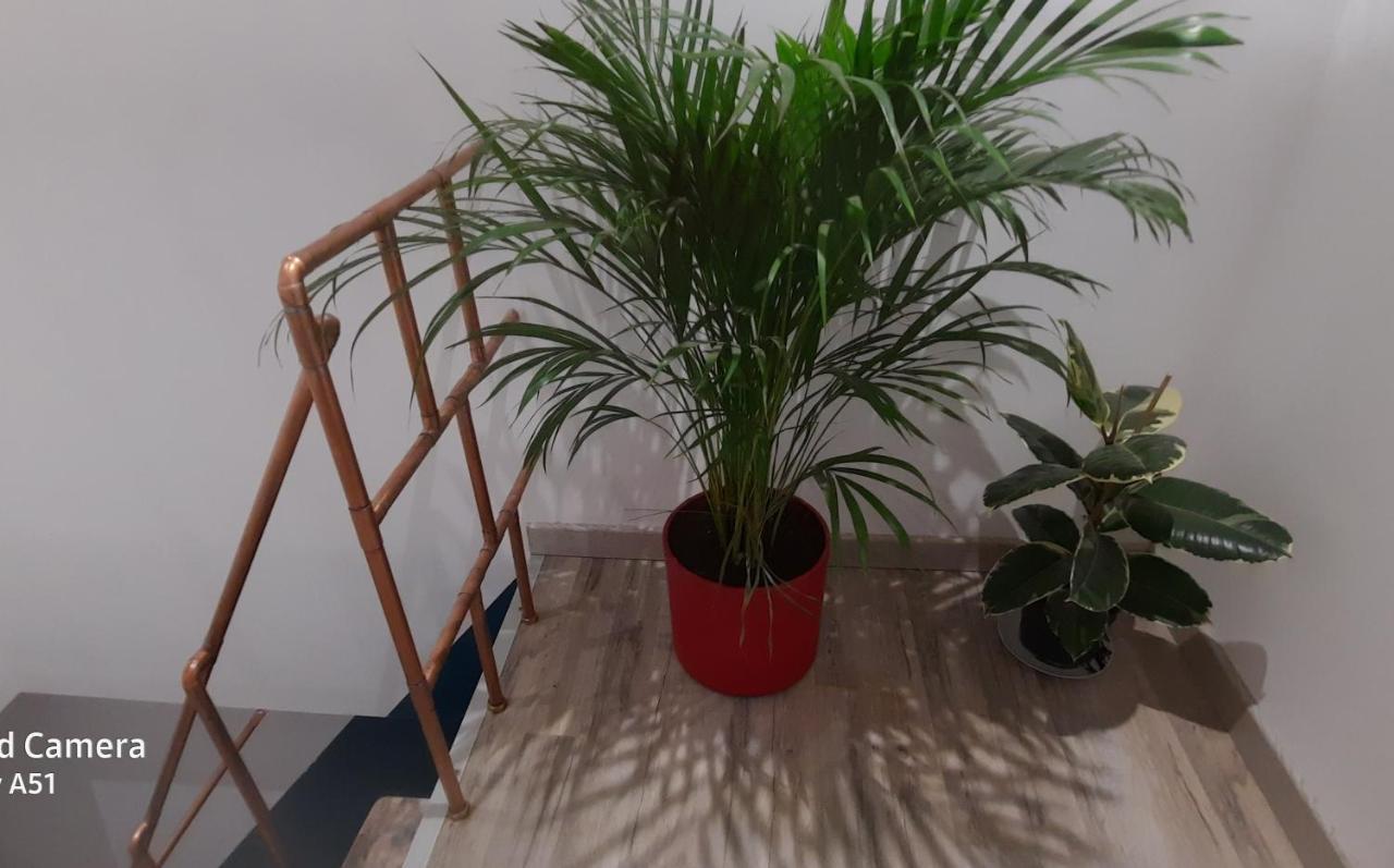 Nuit Insolite-Room Love Saint-Germain  外观 照片