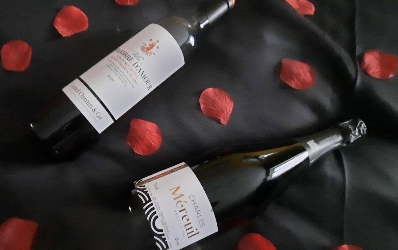 Nuit Insolite-Room Love Saint-Germain  外观 照片